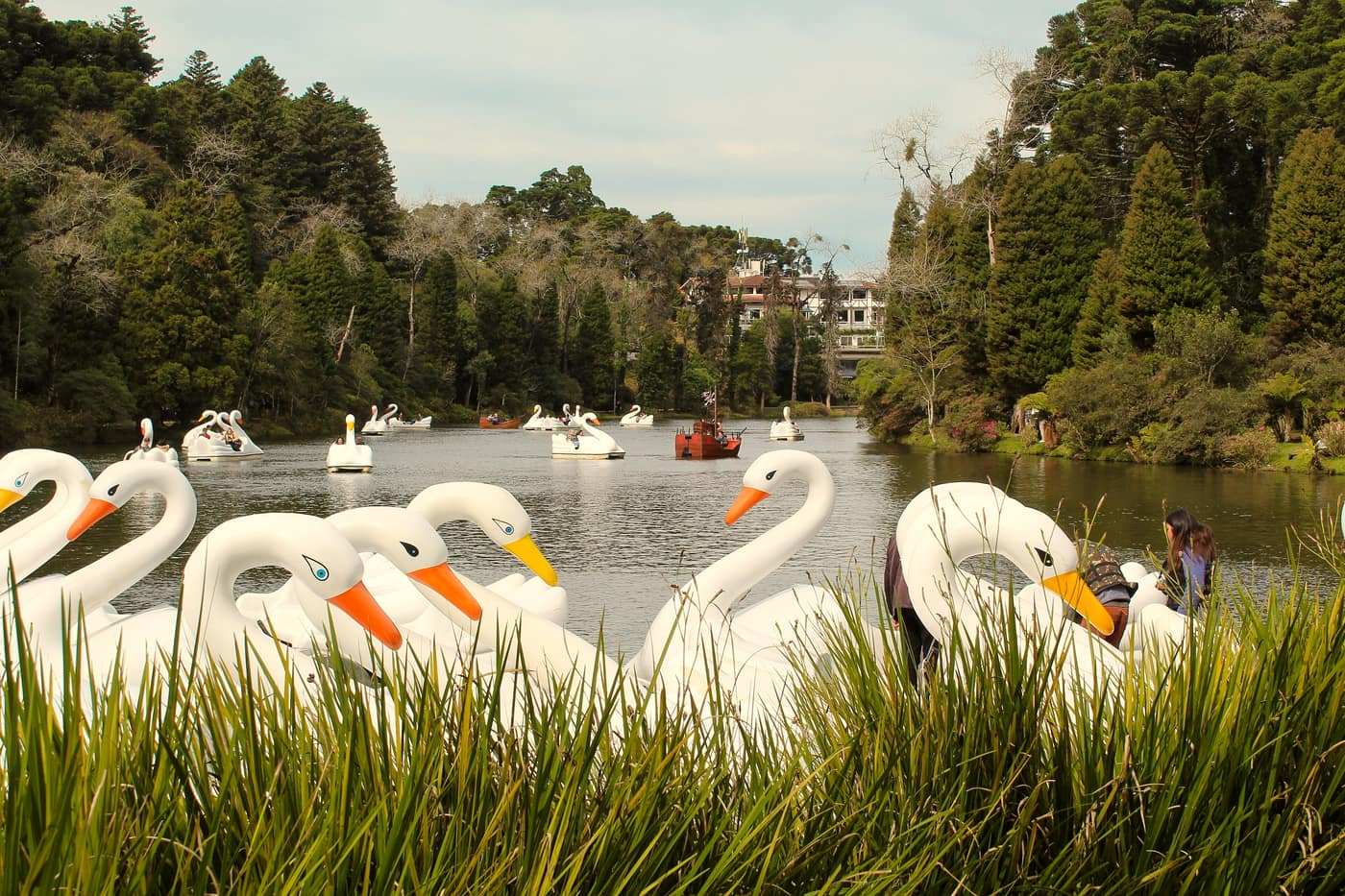Pedalinhos de cisne no Lago Negro, em Gramado